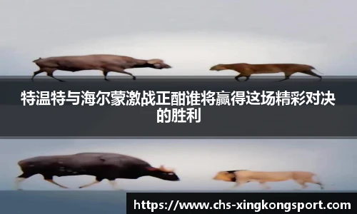 特温特与海尔蒙激战正酣谁将赢得这场精彩对决的胜利